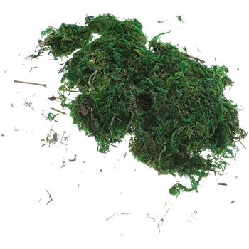 1 taška umelé machy lišajníky simulácia bryophyte zelenej sušenej trávy pre centerpieces domácej kuchyni svadobné terénne dekor